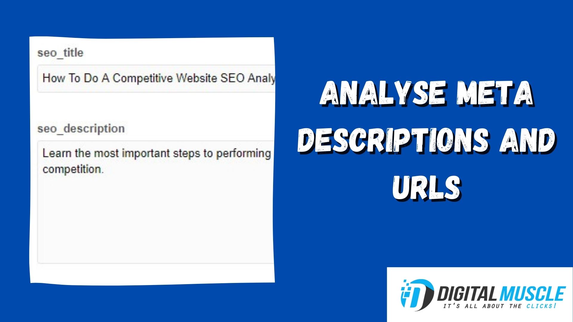 analyse meta descriptions and urls